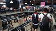 Desde el miércoles hasta el viernes, Puerto Joven será la sede de una nueva edición de Expo Carreras UNR 