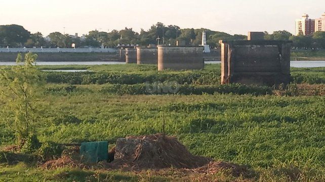 Cerca de dos semanas demandarán los trabajos para remover el embalsado en la laguna Setúbal Cerca de dos semanas demandarán los trabajos para remover el embalsado en la laguna Setúbal