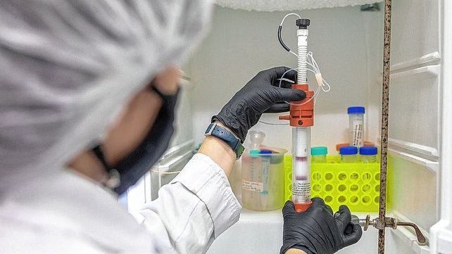 Vacuna contra Covid-19 hecha en Santa Fe tiene 90% de avance