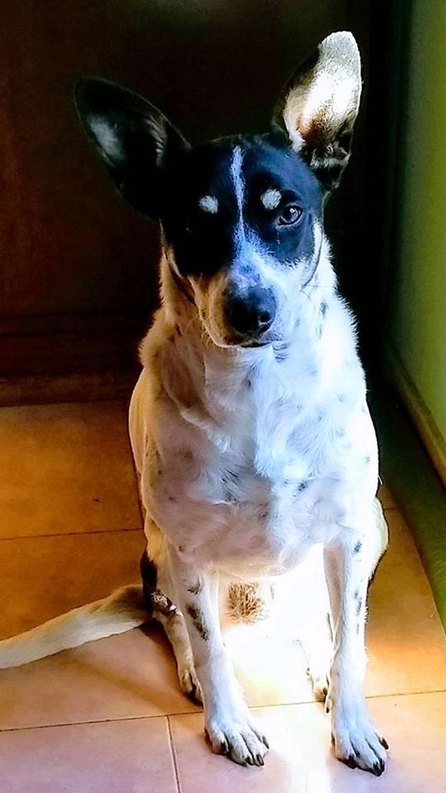 Magui compartió esta imagen de Zuny. Magui compartió esta imagen de Zuny.