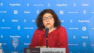 Vizzotti llamó a redoblar esfuerzos para minimizar la circulación