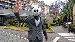 El chancho Blanco, como se autodefinió frente a las cámaras, provocó el asombro de quienes habían ido a votar en la Facultad de Derecho de la UBA