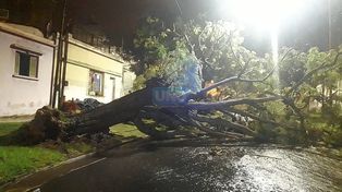 Temporal de lluvia y viento causó grandes daños en Paraná y zona