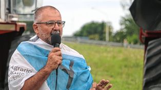El sector arrocero asegura estar en situación crítica