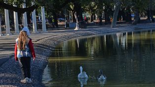 Este lunes feriado nacional arrancó con una mañana con viento sur. No se descarta que caigan algunas gotitas durante el día y también vuelve el frío.&nbsp;