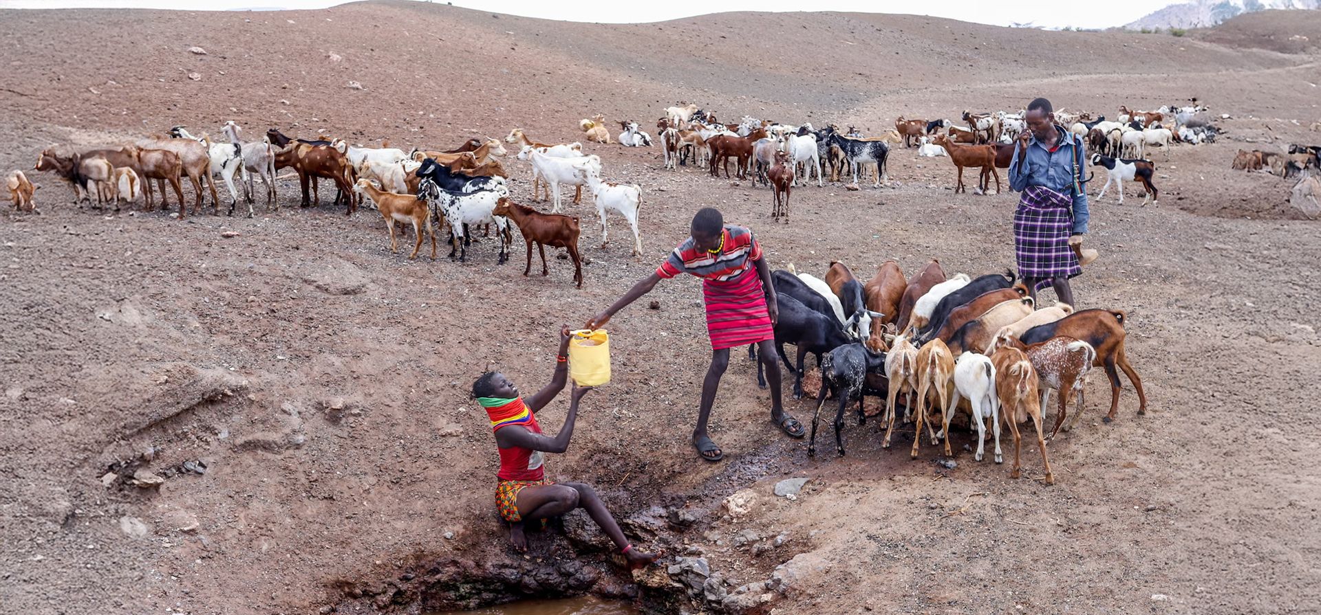 Pastores recogen agua de un pozo en medio de la escasez causada por una sequía prolongada, Lopii, Kenia. Fotografía: Patrick Ngugi/AP Pastores recogen agua de un pozo en medio de la escasez causada por una sequía prolongada, Lopii, Kenia. Fotografía: Patrick Ngugi/AP