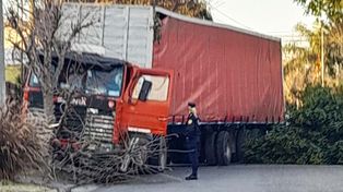 Paraná: camión subió a la vereda y quebró dos árboles