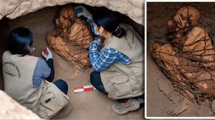 Hallan en Perú una momia de 800 años en una misteriosa posición