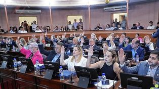 En la primer sesión de prórroga del 145 período legislativo, la Cámara de Diputados aprobó los cambios que hizo el Senado en ambos proyectos.