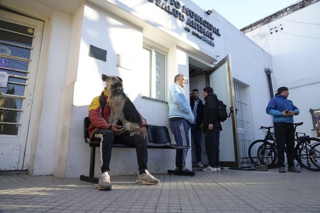 Comenzaron las obras para construir el Hospital Animal de Rosario