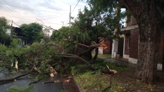 El municipio hizo evacuaciones preventivas y remoción de árboles caídos. Se reparten módulos alimentarios