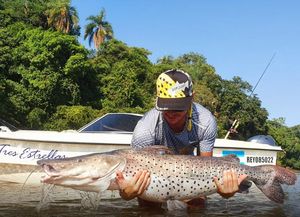Peces marcados: el proyecto que sigue la trayectoria de surubíes y dorados