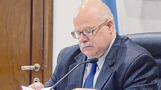 El juez José Luis Suárez dijo que las versiones infundadas de la perito Creimer a familiares y diputados provocaron alto grado de conmoción social. &nbsp;