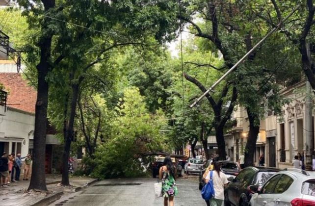 La zona de San Juan y Alvear