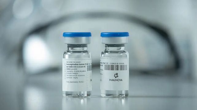 Coronavirus: comienza la distribución del suero equino hiperinmune desarrollado en Argentina