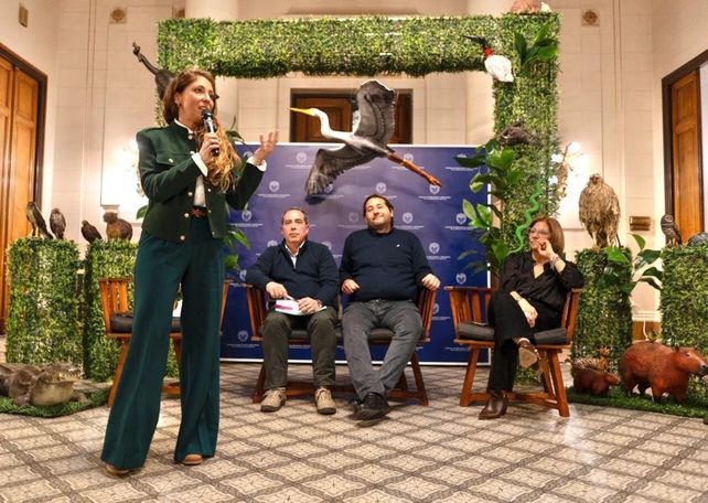 La diputada provincial Sofía Galnares