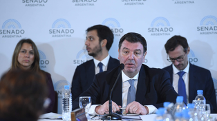 Ariel Lijo argumentó en la Cámara alta nacional su postulación al máximo tribunal de Justicia.