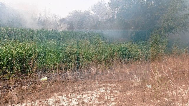 Videos y Fotos: Bomberos combaten el fuego en la Isla Puente