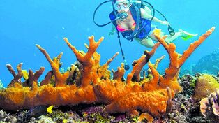 Vacaciones extremas en Aruba
