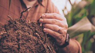 Ecosistema. El programa permite medir la captura de carbono en los suelos. Es una iniciativa conjunta entre el sector público, privado y académico.