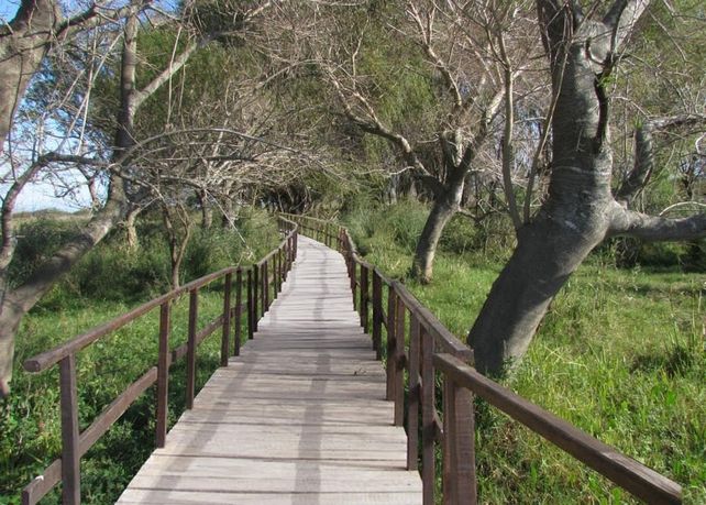 Lo que viene. Así serán las pasarelas que el municipio instalará en la zona de islas.