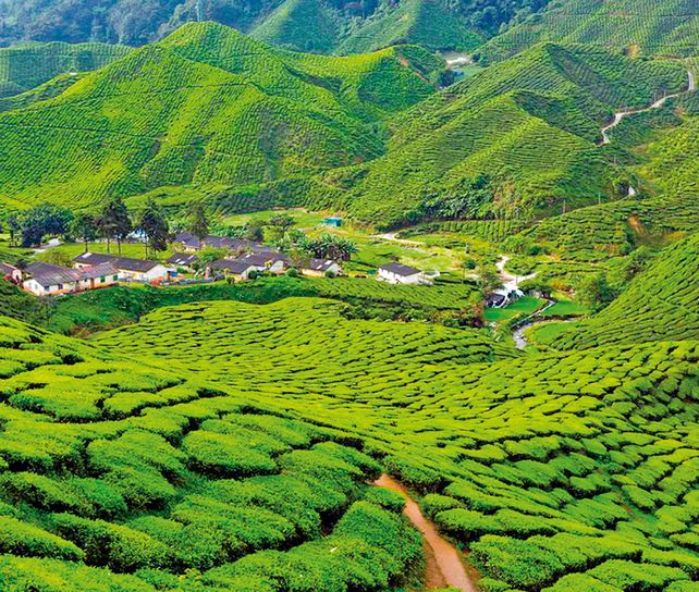 Esencias de Asia: Malasia, Singapur e Indonesia en un viaje transformador