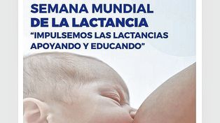 Hospital. Centenario de Gualeguaychú preparó una agenda de actividades para promover la lactancia materna.
