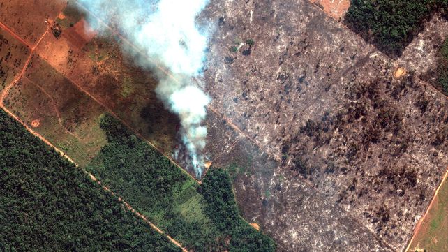 Amazonas. La magnitud de los incendios desataron una tragedia ambiental de consecuencias impredecibles.