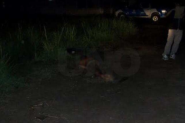 Asesinaron a un muchacho en barrio Santa Rosa de Lima en Santa Fe