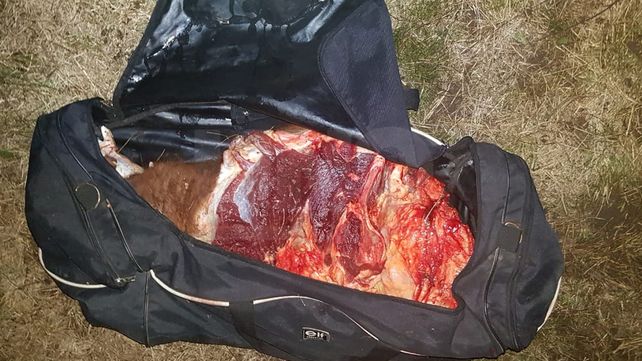 Sorprendieron y apresaron a dos cuatreros faenando un vacuno