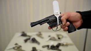 La diputada Ciciliani denunció que el Renar perdió 200 armas que debían ser destruídas