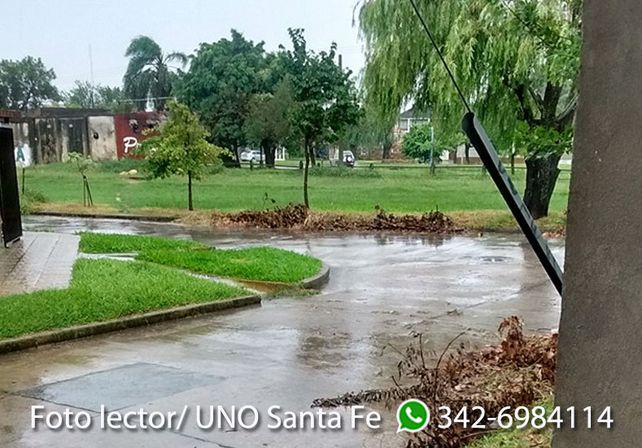 Vany Roldan mandó esta foto donde se pueden ver ramas obstruyendo los desagües.