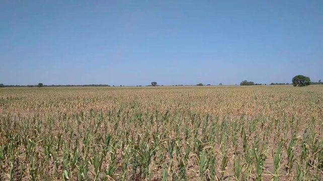 Diciembre llega con temperaturas superiores a la media y pocas lluvias