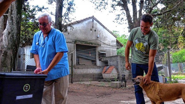 La carrera. De Veterinaria se puede cursar de manera presencial en la Facultad de Bromatología con sede en Gualeguaychú.