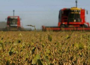 Retenciones: las pérdidas de los productores entrerrianos serían de U$S 400 millones