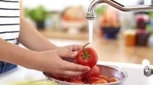 Bien lavadas. Las frutas y verduras deben higienizarse siempre en forma correcta antes del consumo&nbsp;