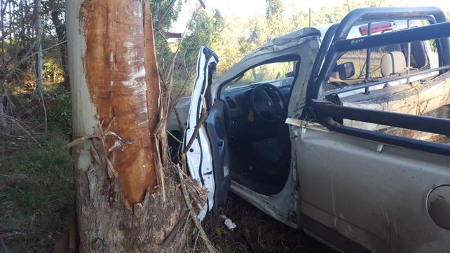 Despistó y chocó contra un árbol en la ruta 2