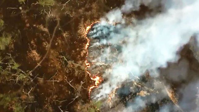 El Tribunal Oral Federal de Paraná concedió un recurso de casación contra la condena por el incendio en las islas del Delta.
