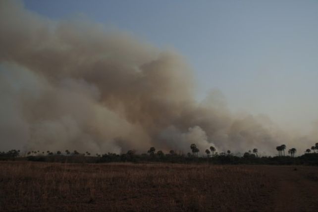 Luego de varios días de humo de los incendios en islas de Victoria y Delta