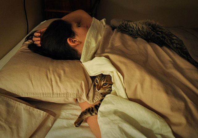 Aseguran que se duerme mejor con perros o gatos en la cama