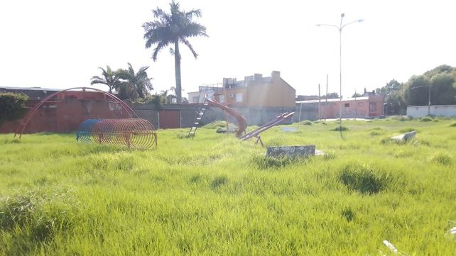 Plaza María del Carmen Caviglia de Boeykens con pastizales de más de 80 centímetros de alto y basura.