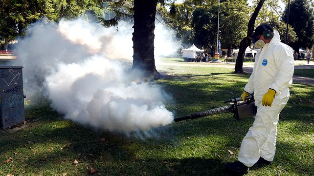 El municipio sigue con las tareas de fumigación en espacios verdes.