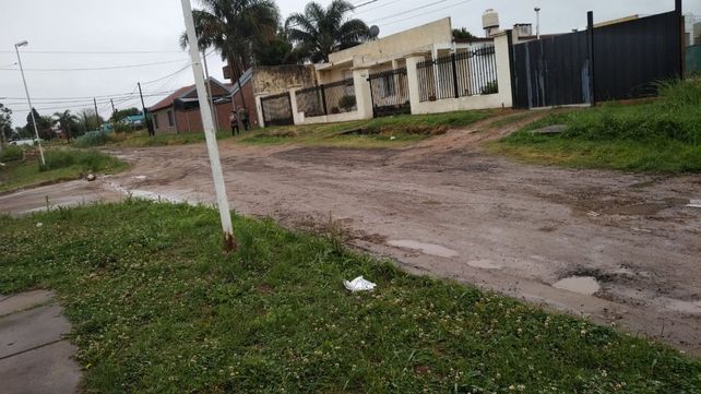 Piden fumigaciones en barrio Los Paraísos