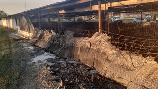 Una granja de pollos santafesina fue arrasada por el fuego
