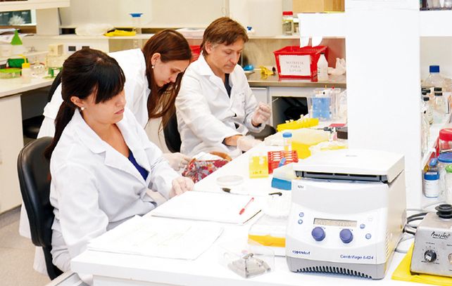 Banchio y Girardini junto a un equipo de investigadores en el laboratorio del Instituto de Biología Molecular y Celular de Rosario -UNR - CONICET.