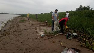 Peligro del plástico: Los basurales a cielo abierto contaminan la Setúbal