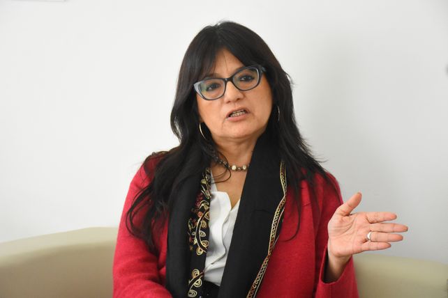 La ex comisionada de la Comisión Interamericana de Derechos Humanos (CIDH)