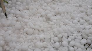 Alta Gracia, castigada por el granizo: 15 minutos de piedra en seco