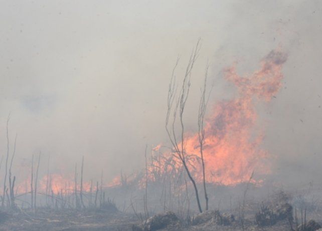 Fuego en las islas. Efectivos de la Prefectura Naval Argentina alertaron este jueves sobre la presencia de columnas de humo frente a la ciudad de San Lorenzo