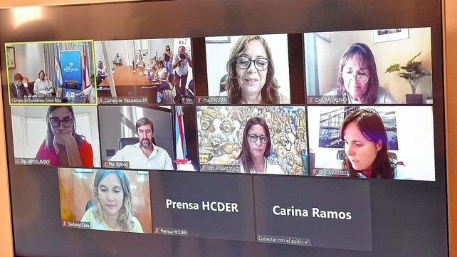 Trataron en comisión el proyecto sobre violencia de género